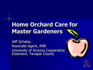 Home Orchard Care for Master Gardeners