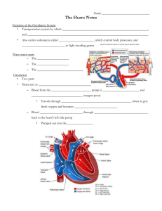Heart Lecture Student Notes