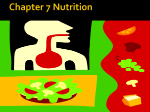 Chapter 7 Nutrition ppt 277