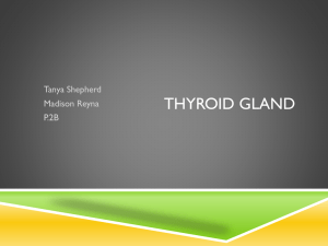 Thyroid Gland.TanyaShepherd.MaddiReyna
