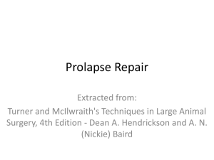 Prolapse Repair - IHMC Public Cmaps (3)