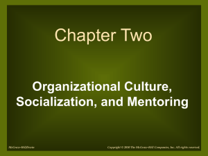 Organizational Culture, Socialization and Mentoring