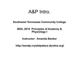 Introduction - Faculty - Southwest Tennessee Community College