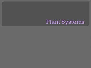 Plant Systems - CRCBiologyY11