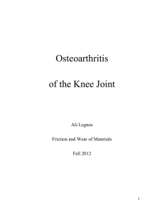 of the Knee Joint