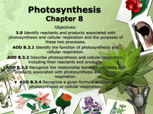 Photosynthesis Chapter 8