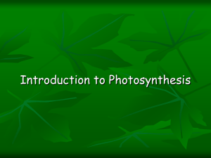 photosynthesis part 1