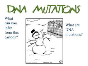 What are the TYPES of DNA Mutations?