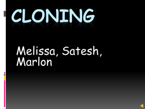 cloning - Portovega!