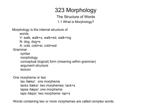 323 Morphology
