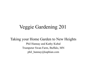 Veggie Gardening 201