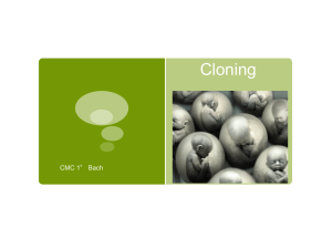 Cloning - IES Alyanub