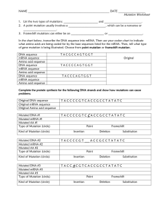 NAME DATE Mutation Worksheet List the two types of mutations