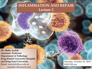 L2-Inflammation - Home - KSU Faculty Member websites