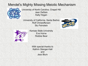 Connecting Meiosis with Mendelian Inheritance (PowerPoint)
