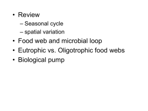 Pelagic food webs and the microbial loop