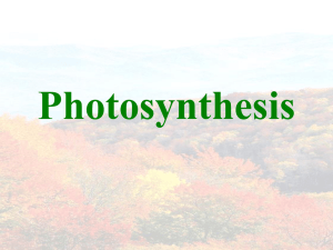 SBI-4U photosynthesis introduction