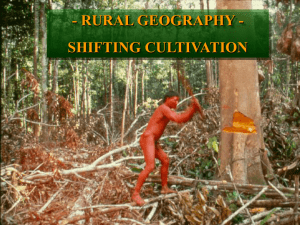 Shifting Agriculture 1