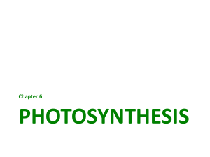 Photosynthesis - s3.amazonaws.com