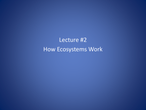 Chapter 3 Lecture #2 How Ecosystems Work