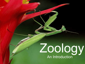 Zoology - Cobb Learning