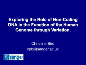 Conserved non-coding DNA has a function in the human genome