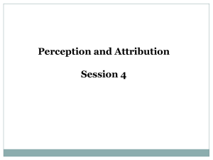 V1_ Perception and Attribution