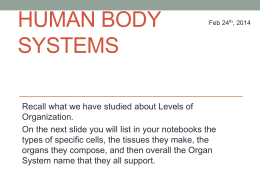 Human Biology and Health Worksheets