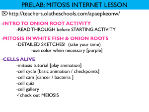 mitosis internet lesson