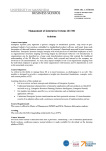 Syllabus - Chair of Information Systems IV
