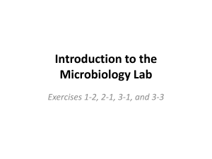 Introduction to the Microbiology Lab Exercises 1-2, 2-1, 3-1, and 3
