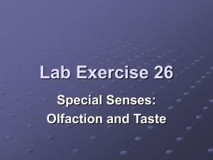 Lab Exercise 26