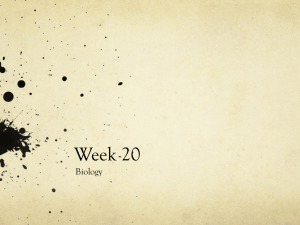 Week 20