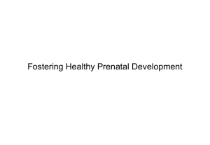 Fostering Healthy Prenatal Development