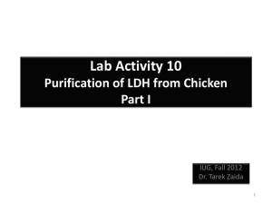 Lab Activity 10 Purification of LDH from Chicken Part I
