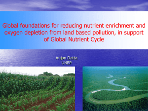 Global foundations for reducing nutrient enrichment and