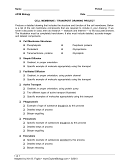 Ap biology essay cell transport