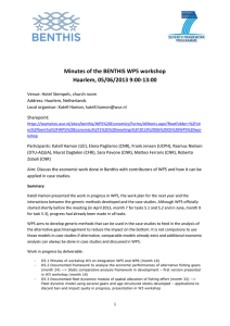 Minutes of the BENTHIS WP5 workshop Haarlem, 05/06/2013 9:00