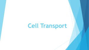 Cell transport ppt