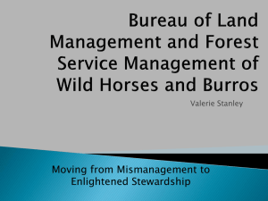 Bureau of Land Management and Forest Service Management of