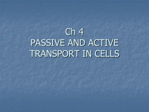 PASSIVE AND ACTIVE TRANSPORT IN CELLS