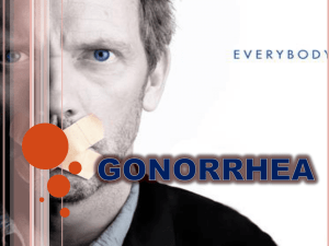neisseria gonorrhea