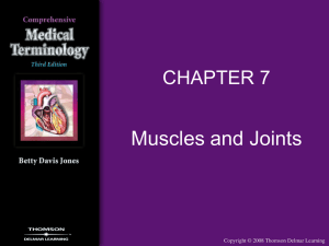 Chapter 7 Muscles and Joints