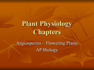 Plant Physiology Chapters