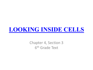 Looking Inside Cells 2014