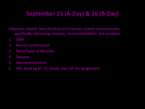 September 23 (A-Day) & 24 (B-Day)