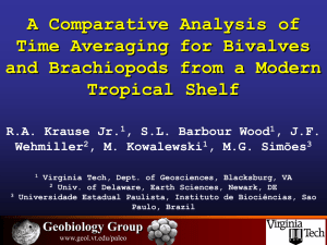 A Comparative Analysis of Time Averaging for Bivalves