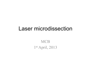 Laser Microdissection lab 2013