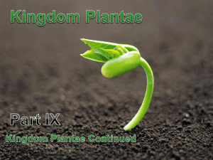 Part IX: Plant Kingdom Continued