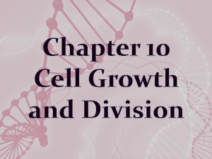 Chapter 10 Cell Growth and Division